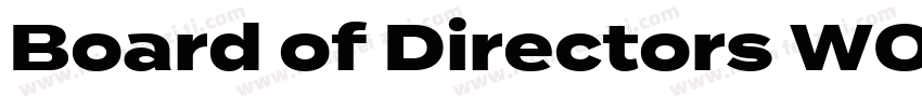 Board of Directors W00 Heavy字体转换